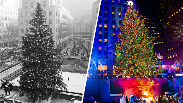 The Rockefeller Tree 