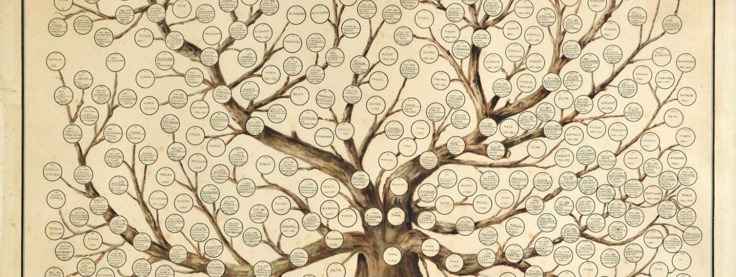 Family tree