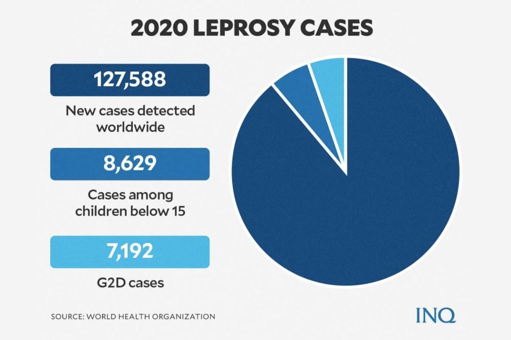 2020 Leprosy cases pie chart
