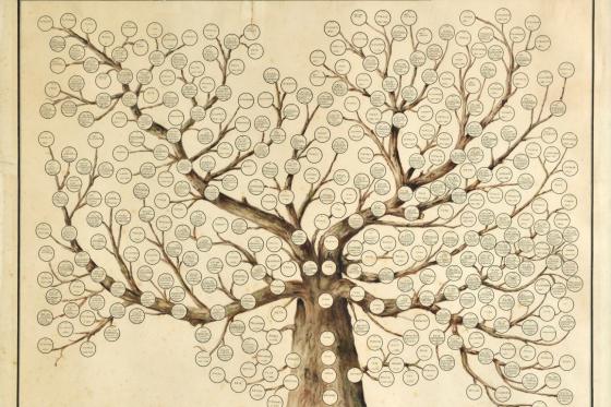 Family tree